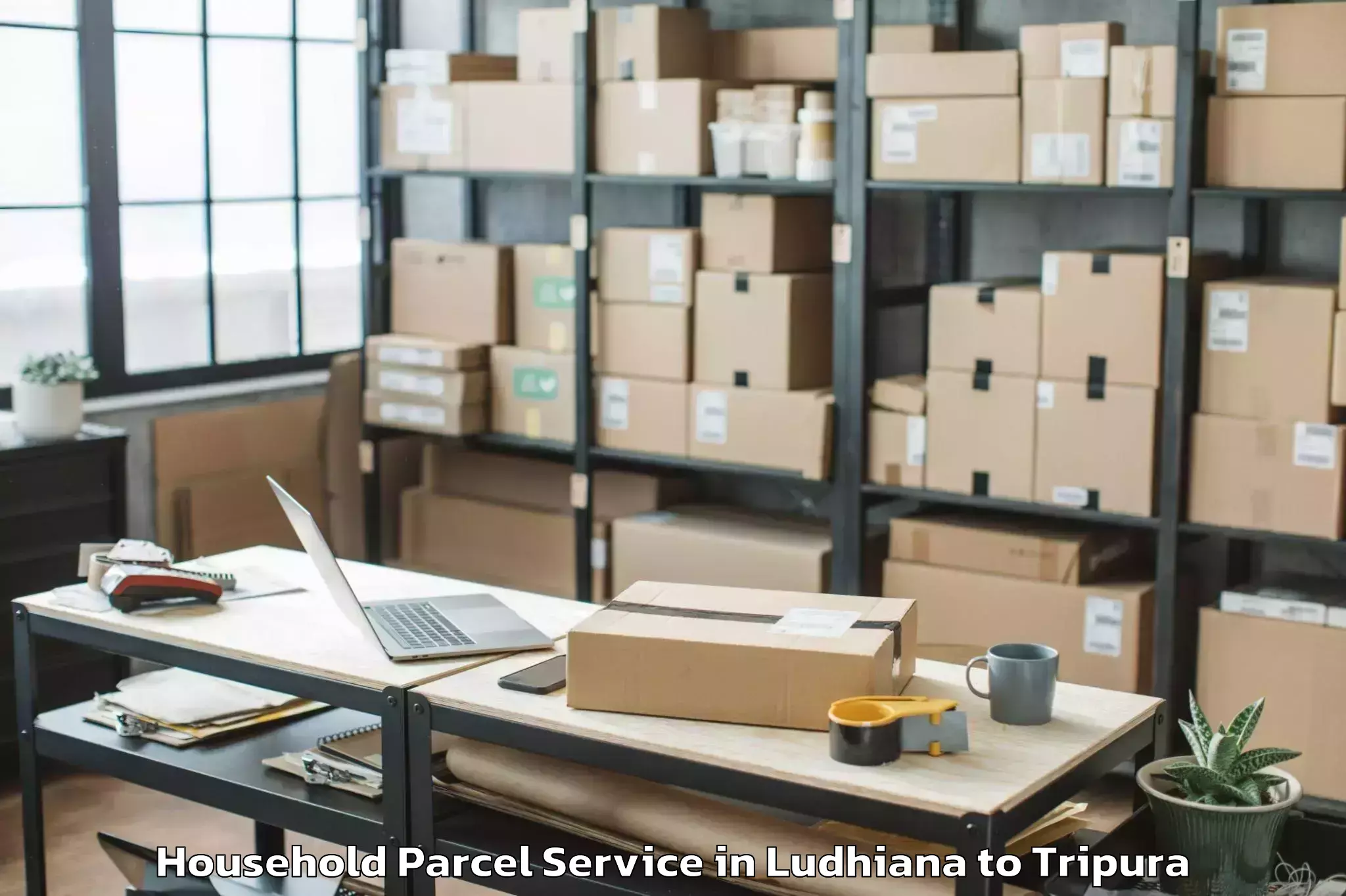 Easy Ludhiana to Jampuijala Household Parcel Booking